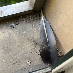 印度另类妇女BBwBBw
